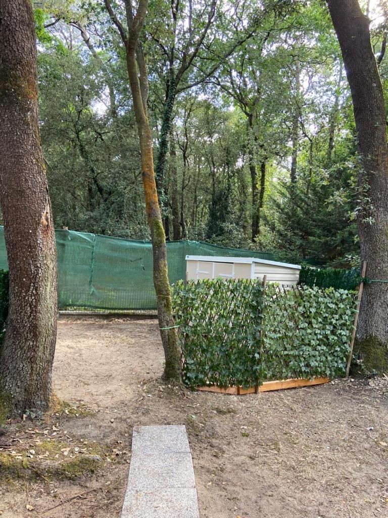 Mobil Aventura 6-8 Personnes Confort Campsite
